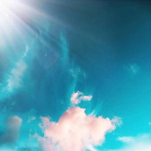 花店三女漫画原版漫画全集
